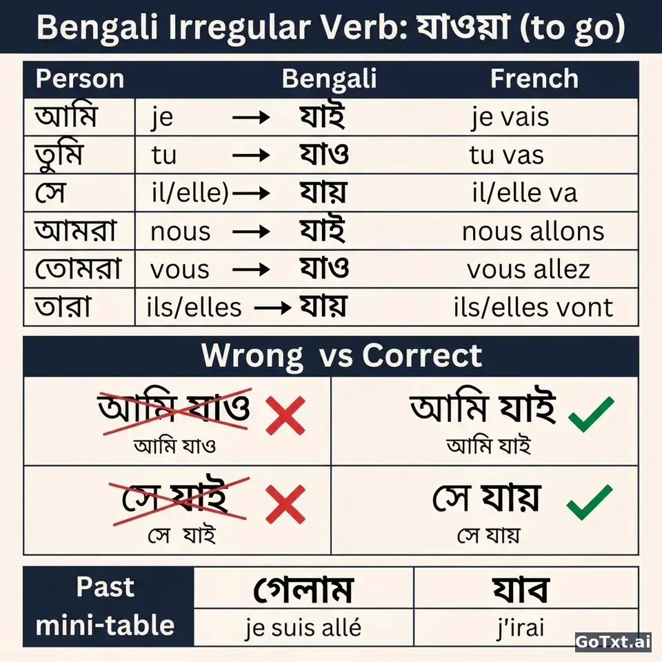 Verbes irréguliers en bengali : le verbe « aller » (যাওয়া) décortiqué forme par forme — illustration | GoTxt
